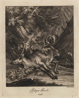 KG 01075
          <br/>
          Entwurf einiger Thiere. Dritter Theil. (18 bladen)
          <br/>
          <em>Ridinger, Johann Elias (1698-1767)</em>
